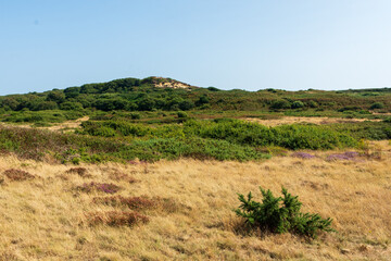 Hengistbury Head, Southbourne, UK - August 10th 2025: Grassland with Warren Hill in the background.