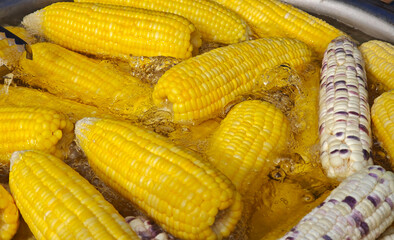 Sweet corn boiled in a large pot