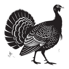 black Thanksgiving Turkey Silhouette Vector, High Quality Illustration on White Background