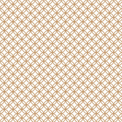 Decorative Floral Ornament Overlay with Geometric Background