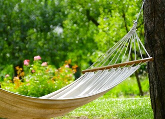 Hammock in the park for relaxing time in green nature