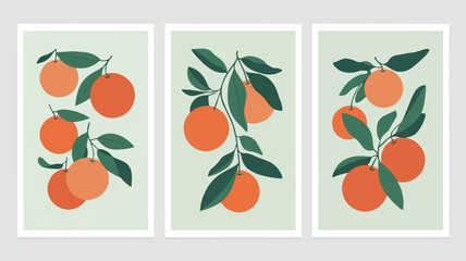 A modern minimalist art print triptych showcasing stylized botanical citrus oranges, perfect for contemporary wall decor.