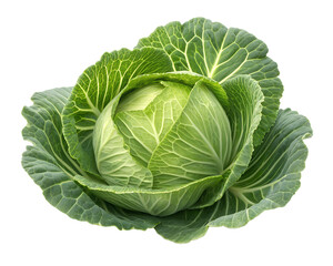 Obraz premium cabbage isolated on white background, full depth of field 
