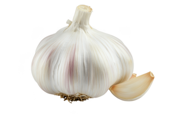 High resolution garlic bulb and clove still life photography, culinary ingredient, food staple, flavor enhancer, cooking essential isolated on transparent background