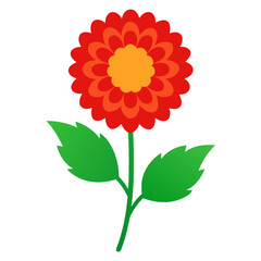 Beautiful chrysanthemum flower illustration isolated on a clean white background for floral designs