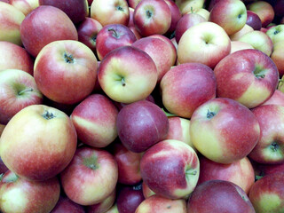 ripe, juicy apples before calibration, packing and sending for sale. tasty and healthy fruits. dietary nutrition. vitamins, minerals and fiber