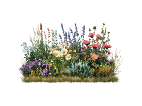 Colorful clusters of blooming flower bushes with vibrant petals and lush foliage