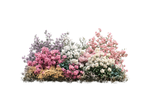 Colorful clusters of blooming flower bushes with vibrant petals and lush foliage
