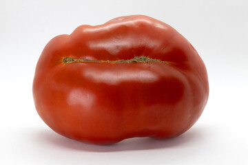 A large, vibrant red tomato, placed against a white background.