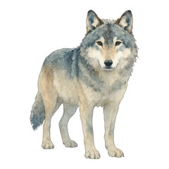 Obraz premium PNG Majestic watercolor wolf illustration.