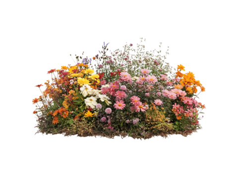 Colorful clusters of blooming flower bushes with vibrant petals and lush foliage