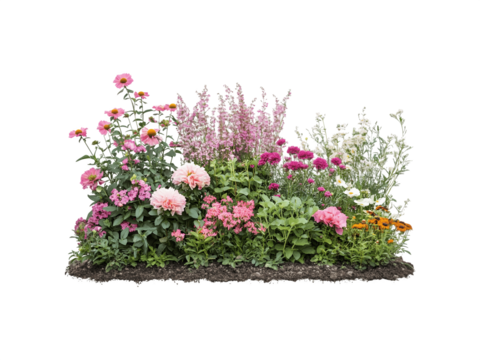Colorful clusters of blooming flower bushes with vibrant petals and lush foliage