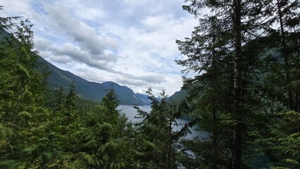 clouds over the forest