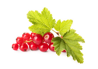 Fresh red currants with leaves on white background