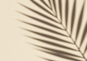 Fototapeta premium Palm leaf shadow on a textured beige background