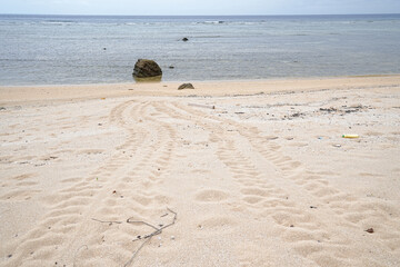 沖縄県_西表島_南風見田〜鹿川_大浜
