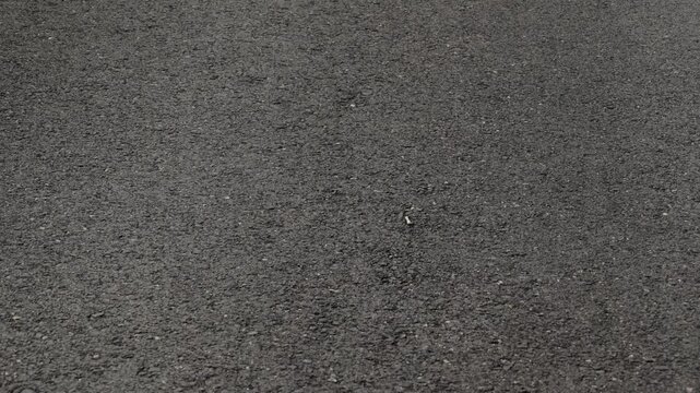 Close-up video of asphalt road in motion, showing rough gray texture and pavement details. Ideal for themes of travel, transport, mobility, and urban design.