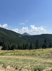 Obraz premium Majestic panoramic view of the green Carpathian Mountains on a clear summer day