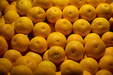 A Colorful Display of Vibrant Fresh Oranges Beautifully Piled Together in a Local Market