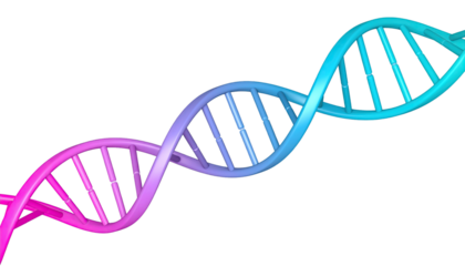 DNA double helix molecular structure genetic science and biotechnology illustration isolated on white background