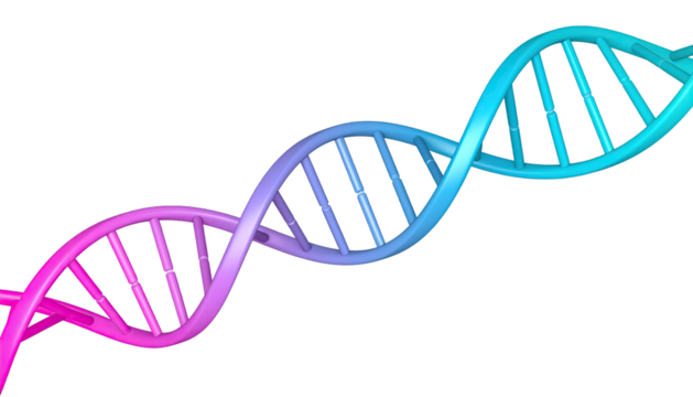 DNA double helix molecular structure genetic science and biotechnology illustration isolated on white background