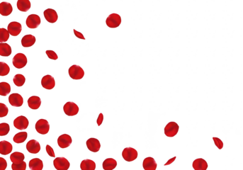 Red watercolor dots falling and scattered on a transparent background, isolated on transparent background