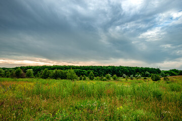A horizontal view of a vibrant green field with assorted wildflowers, a dense treeline on the horizon, and a stormy grey and white sky during a late afternoon.