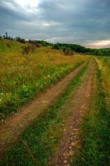 Obraz premium A rustic dirt track winds through a hilly, grassy landscape with scattered wildflowers and green bushes, leading to a treeline under a soft, overcast sky at twilight.