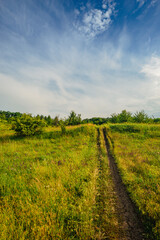 A worn dirt path cuts through a field of mixed green and golden grasses, with scattered wildflowers and small trees under a bright blue sky with dramatic white clouds.