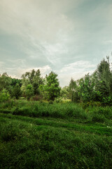 A moody vertical photograph of a lush green meadow leading into a dense line of trees and foliage under a pale, overcast sky, evoking a quiet, rural summer evening.