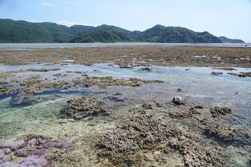 沖縄県_西表島_ 崎山湾