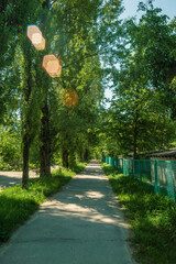 A serene, sunlit pathway on a warm spring day, flanked on one side by a verdant row of tall, green...