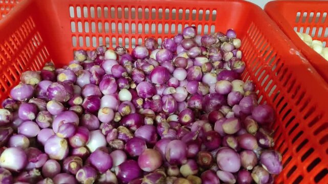 Fresh peeled shallots placed in a basket, ready for cooking or food preparation. A common ingredient in Asian cuisine, shallots are used for seasoning, sauces, and traditional recipes.