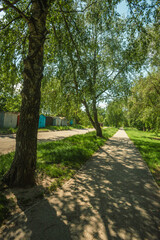 A shady, paved walking path is surrounded by lush green foliage and a line of tall, leafy trees, with several small, colorful garages visible in the background on a sunny summer day.