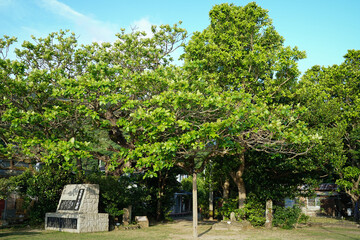 沖縄県_西表島_船浮