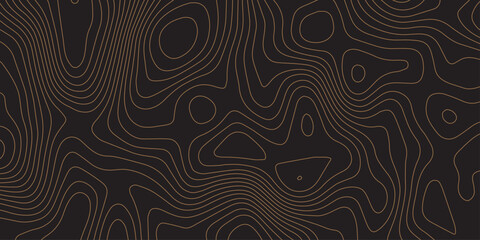 Elegant Brown and Black Topographic Abstract Line Background for Minimal Design.