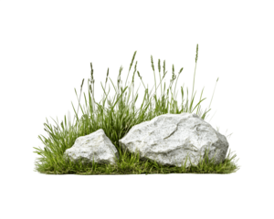 Grassy meadow with scattered rocks