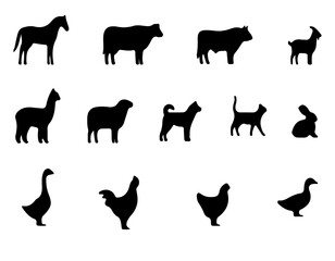 animal silhouette vector group black color in white background 