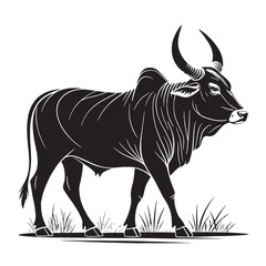black zebu Silhouette Vector, High Quality Illustration on White Background