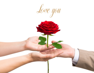 Romantic Hands Offering Red Rose with Love You Script, Transparent PNG