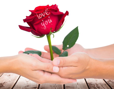 Romantic Hands Offering Red Rose with Love You Script, Transparent PNG