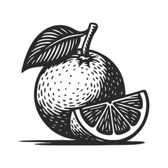 Illustration of orange fruit in black and white