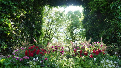 美しい空と花畑