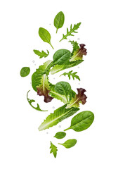 Assortment Of Fresh Green Salad Leaves Isolated On Transparent Background