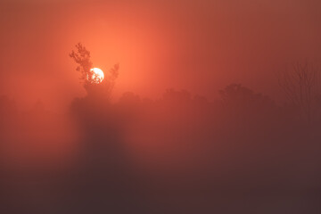 Piękny rózowy wschód słońca nad rzeką Łękawką w Kaniowie na Śląsku, Polska, mglisty letni poranek.  © Elżbieta Kaps