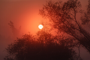 Piękny rózowy wschód słońca nad rzeką Łękawką w Kaniowie na Śląsku, Polska, mglisty letni poranek.  © Elżbieta Kaps