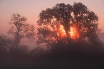Piękny rózowy wschód słońca nad rzeką Łękawką w Kaniowie na Śląsku, Polska, mglisty letni poranek.  © Elżbieta Kaps