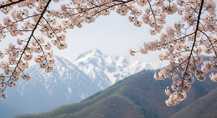 Cherry blossoms and mountains