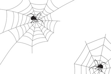 Spider and web background for Halloween design	