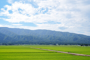 山形県_長井市_田園風景